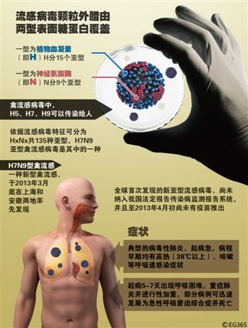 H7N9禽流感病毒癥狀